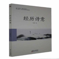 正版新书]经历诗意王彦民9787520714211