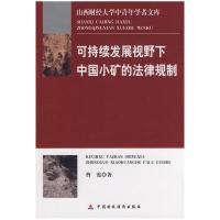 正版新书]新媒体艺术研究范式的创新与转换马晓翔9787564164232