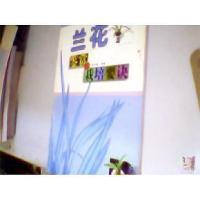 正版新书]兰花鉴赏与栽培要诀张丰荣 编9787533520564