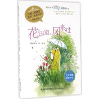 正版新书]花知道风来过陈晓辉9787533471224