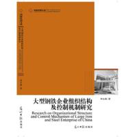 正版新书]大型钢铁企业组织结构及控制机制研究周永源 著978751