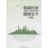 正版新书]低碳经济条件下的中国能源安全问题杨彦强978751126027