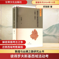 正版新书]彼得罗夫斯基西域活动考(1883-1903)郑丽颖 著 著97875