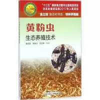 正版新书]黄粉虫生态养殖技术杨菲菲9787535968555