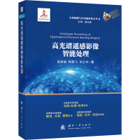 正版新书]高光谱遥感影像智能处理张良培,钟燕飞,王心宇 著;97