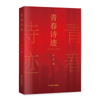 正版新书]青春诗迹许江9787512517516
