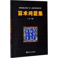 正版新书]算术问题集王刚9787560363417