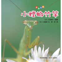 正版新书]小螳螂竹竿七尾纯9787537660884