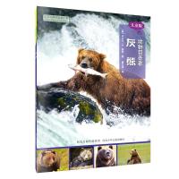 正版新书]动物目击者系列:灰熊 儿童版丽贝卡·E.赫希9787537695