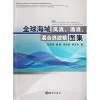 正版新书]全球海域风浪、涌浪、混合浪波候图集郑崇伟9787502782
