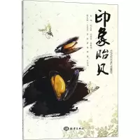 正版新书]印象贻贝宋文东9787521001426