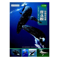 正版新书]动物目击者座头鲸[美] 丽贝卡·E.赫希9787537695640