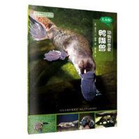 正版新书]动物目击者:鸭嘴兽(儿童版)[美] 丽贝卡·E.赫希 曹