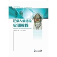 正版新书]正常人体结构实训饶凤英9787535259103