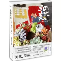 正版新书]多肉美栽:来自多肉星球的礼物韩也豪9787539486024
