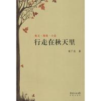 正版新书]行走在秋天里祖丁远9787536070080