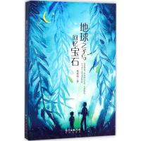 正版新书]地球之子与回忆宝石杨铁铭9787536084094
