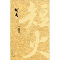 正版新书]短火肖建国9787536063525