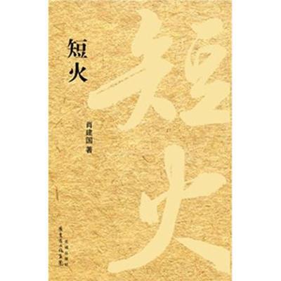 正版新书]短火肖建国9787536063525