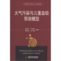 正版新书]大气污染与儿童血铅预测模型张宏志 等编译9787560995