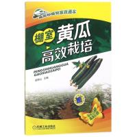 正版新书]棚室黄瓜高效栽培苗锦山9787111496038
