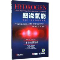 正版新书]图说氢能:面向21世纪的能源挑战塔潘·博斯97871115910
