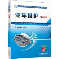 正版新书]汽车维护(彩色版)盛国超9787111656173