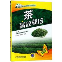 正版新书]茶高效栽培编者:王长君//田丽丽9787111502876