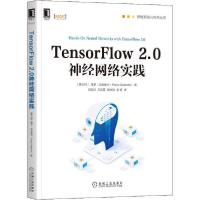 正版新书]Tensorflow 2.0神经网络实践保罗·加莱奥内97871116592