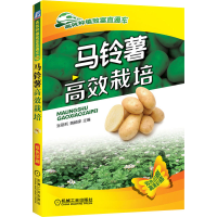 正版新书]马铃薯高效栽培张丽莉,魏峭嵘 编9787111542315