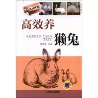 正版新书]高效养獭兔(22)熊家军9787111466024