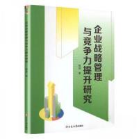 正版新书]企业战略管理与竞争力提升研究杨波 著9787230053600