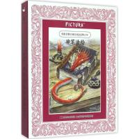 正版新书]PICTURA神笔涂绘系列(第4季)李维·平福德97875575015