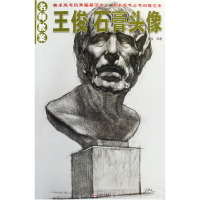 正版新书]名师教案:王俊石膏头像王俊9787538632934