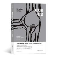 正版新书]更大的希望[奥]伊尔泽·艾兴格,译者:庄亦男后浪978755
