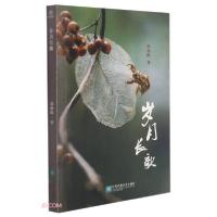 正版新书]岁月长歌郭朝晖著9787559453617