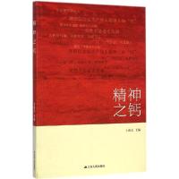正版新书]精神之钙王燕文9787214129284