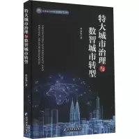 正版新书]特大城市治理与数智城市转型李晨光9787509696491