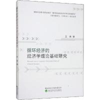 正版新书]循环经济的经济学理论基础研究王岩9787521809466