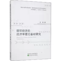 正版新书]循环经济的经济学理论基础研究王岩9787521809466