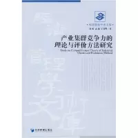 正版新书]产业集群竞争力的理论与评价方法研究赵强 孟越 王春晖