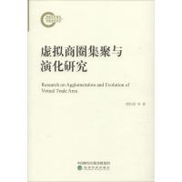 正版新书]虚拟商圈集聚与演化研究唐红涛9787514198683