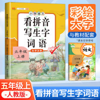 正版新书]看拼音写词语五年级上册生字注音练字帖人教部编版课本