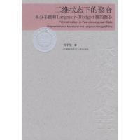 正版新书]中国科大校友文库二维状态下的聚合何平笙 著 著作 著