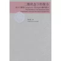 正版新书]中国科大校友文库二维状态下的聚合何平笙 著 著作 著