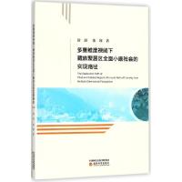 正版新书]多重维度视阈下藏族聚居区全面小康社会的实现路径唐剑