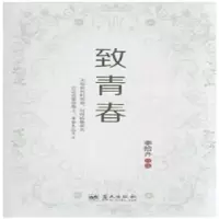正版新书]致青春李拾齐 著9787509410561