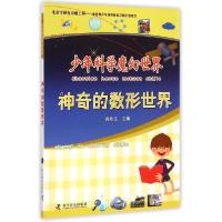 正版新书]神奇的数形世界/少年科学魔幻世界段伟文9787110086667