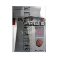 正版新书]病理学彩色图谱徐国成 邱雪杉 韩秋生9787538142570