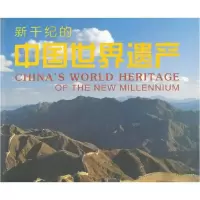 正版新书]新千纪的中国世界遗产游琪9787563708574